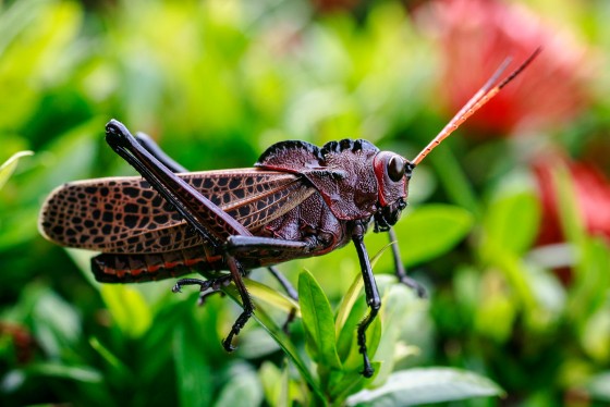 Photo 15 by Seth Fischer for Nature Photography