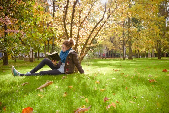 Reading in Luxembourg Gardens