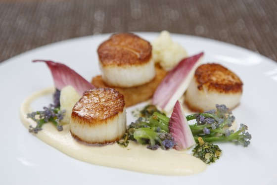Photo 24 by Cibo Buono Photography for Food
