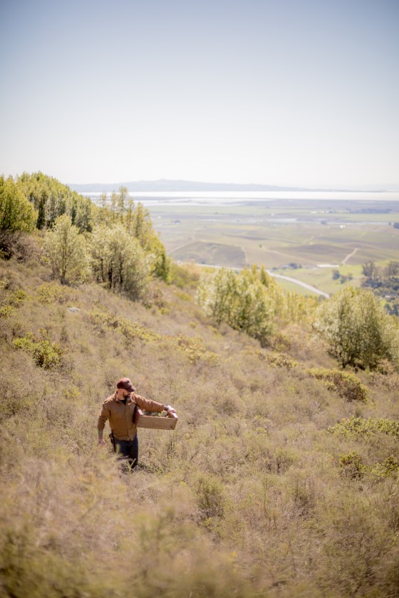 Photo 13 by Mat Rick Photography for Juniper Ridge