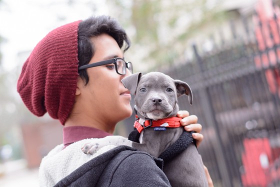 Photo 4 by for Pets and their Owners