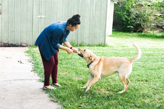 Photo 13 by for Pets and their Owners