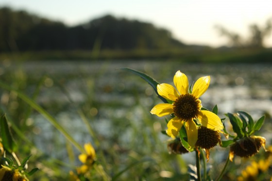 Photo 5 by Brook Harris for Landscape Photography