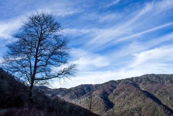 Photo 27 by Creative Maven for Nature Photography