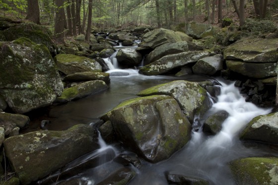 Westfield River