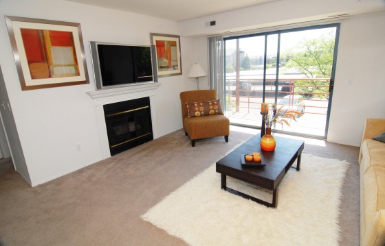Photo 11 by Craig Irvine for Real Estate Photography