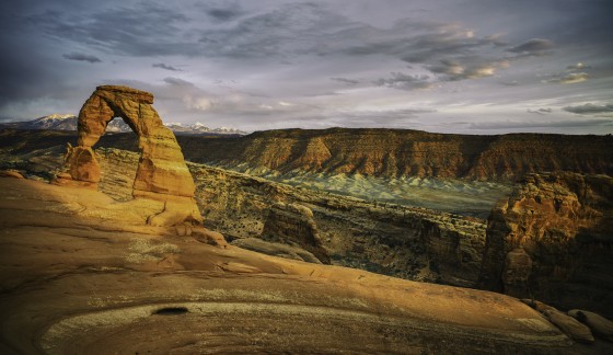 Photo 2 by Afonso Salcedo for Nature Photography