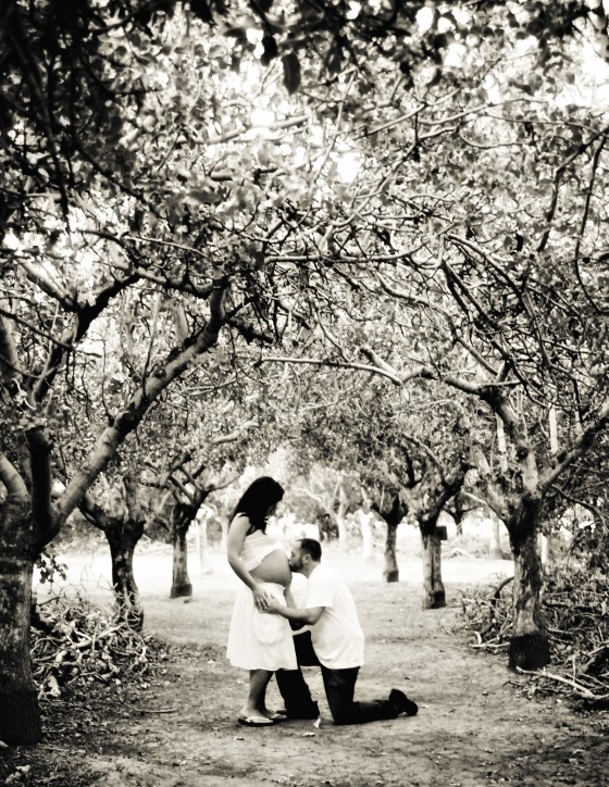 Photo 53 by Dream Lenz Photography for Maternity