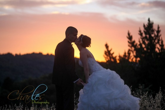 Photo 2 by Charles Le Photography for Weddings