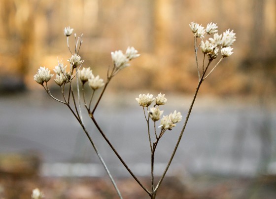 Photo 32 by Creative Maven for Nature Photography