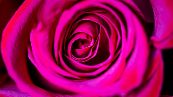 Photo 4 by Caslin for Nature