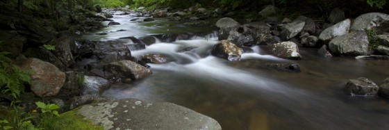 Photo 18 by Dan Minicucci for Panoramics