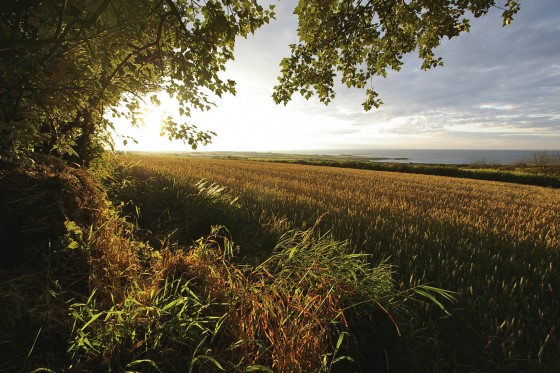 Photo 17 by B Johnson Photos for Worldy Destinations