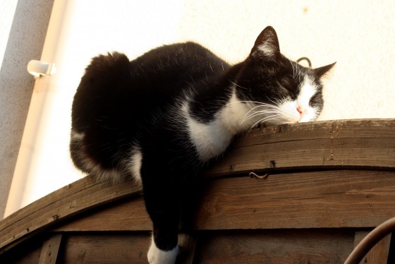 Rest