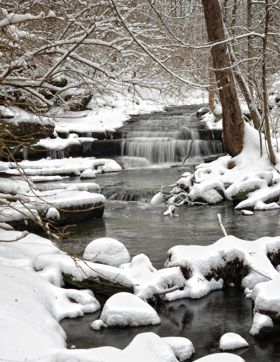 Photo 2 by Blue Maple Photography for General Photography