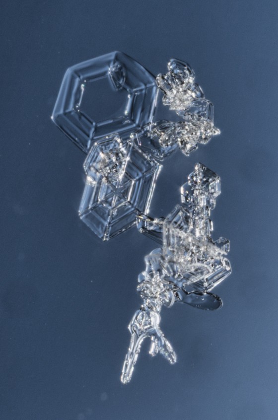 Snowflakes