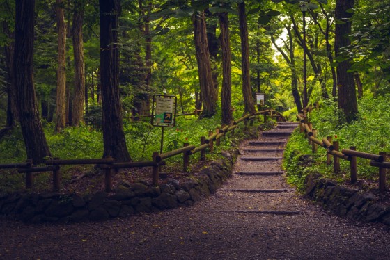 Photo 8 by Taylor Shumway for Landscape Photography