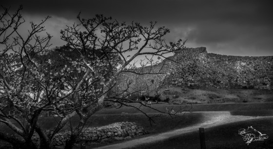 Nakajin Castle