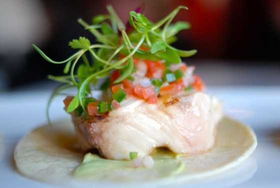 Bay Area Google Food Photographer