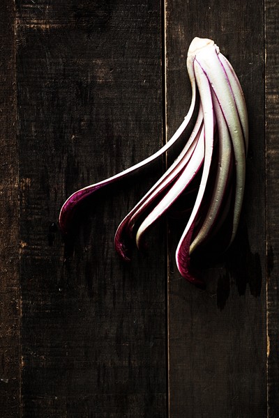 Treviso Radicchio