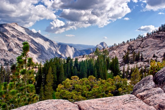 Half Dome in the
Background
Yosemiet