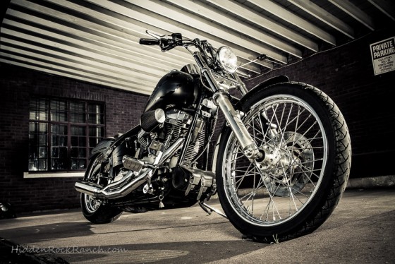Photo 5 by Hidden Rock Ranch Photography for Still Life