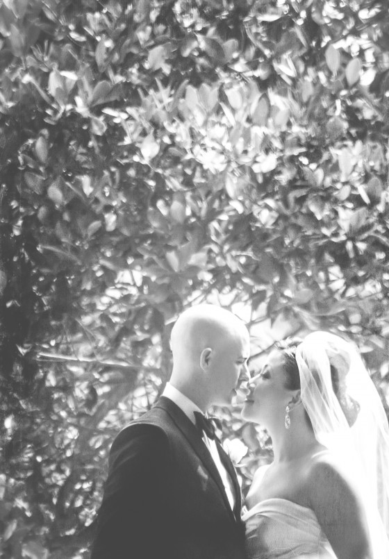 Wedding Portrait