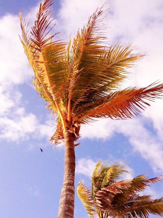 Photo 9 by Creative Maven for Nature Photography