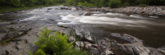 Photo 22 by Dan Minicucci for Panoramics