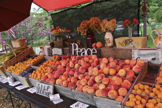 Fruit Stand, Old Mission Peninsula, Grand Traverse County, Michigan