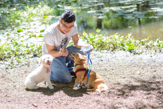 Photo 19 by for Pets and their Owners