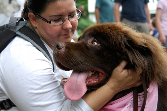 Photo 27 by Roy Caratozzolo for Pet Photography
