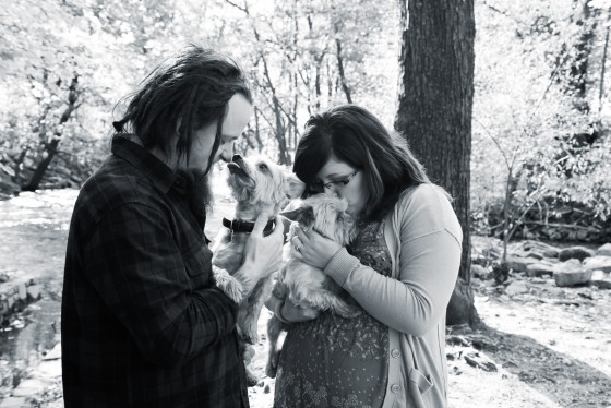 Photo 16 by Retrospect Designs for Pets