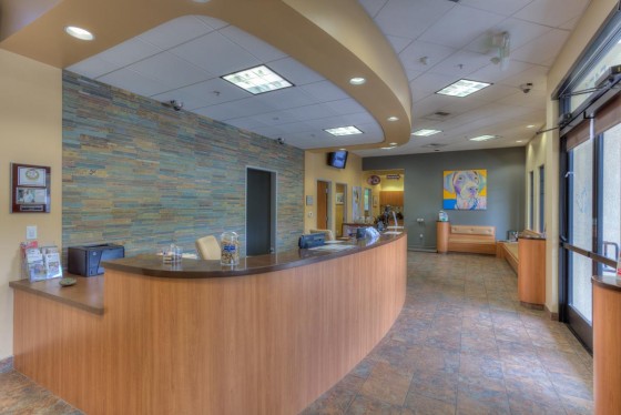 Photo 3 by TheBeeGee for Business Photography