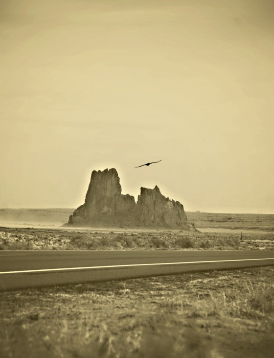 Photo 5 by Dream Lenz Photography for Mother nature