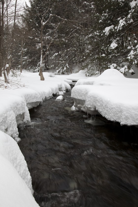 Westfield River