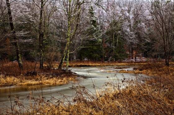 Ice Storm