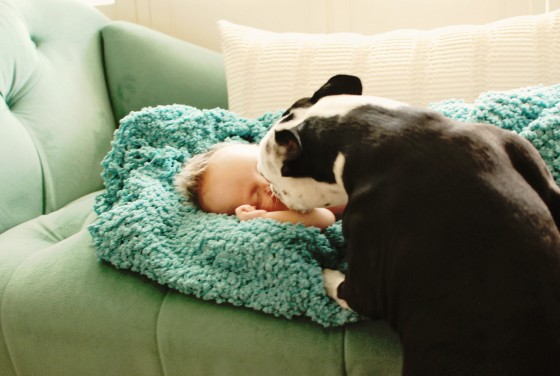 Photo 13 by Dream Lenz Photography for Newborns