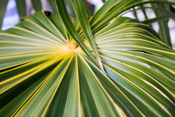Photo 1 by Creative Maven for Nature Photography