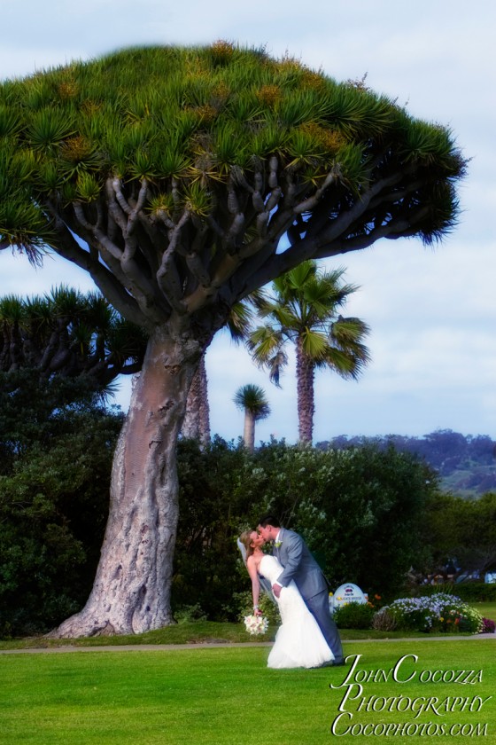 Photo 66 by John Cocozza Photography for Wedding Photography