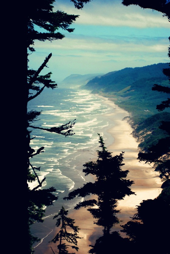 Photo 6 by Dream Lenz Photography for Mother nature