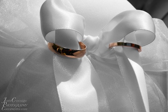 Photo 145 by John Cocozza Photography for Wedding Photography