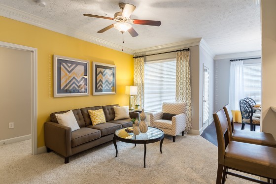 Contemporary apartment living room.