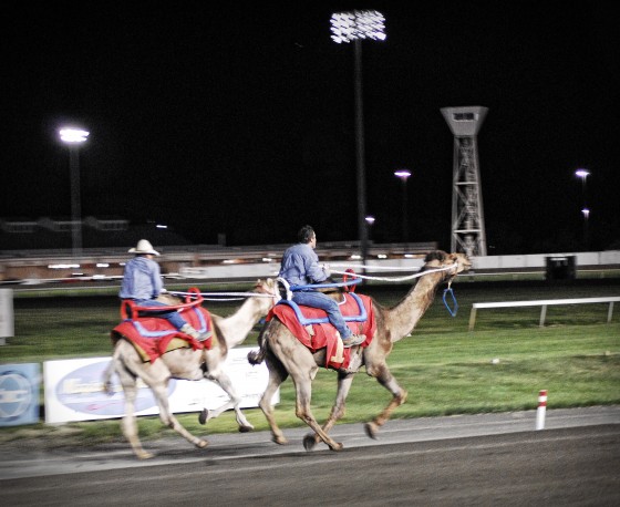 Photo 214 by Roy Caratozzolo for Sports Photography
