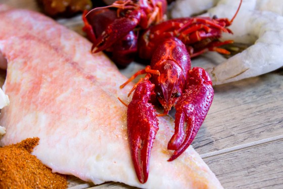 Photo 31 by Creative Maven for Food Photography
