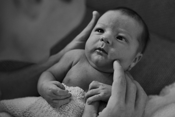 Photo 7 by studio gentuso for Maternity and Newborn Photos