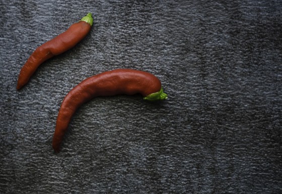 Photo 4 by Michael Galea Photography for Food Photography