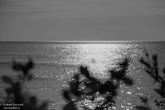 Cape Romano