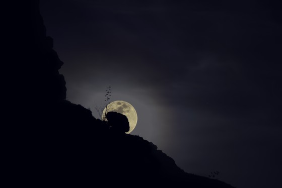 Photo 7 by Taylor Shumway for Landscape Photography