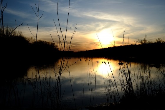 Photo 8 by Brook Harris for Landscape Photography